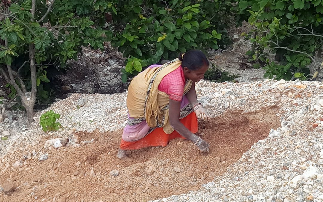 Mica scavenging in Jharkhand destroys lives and environment